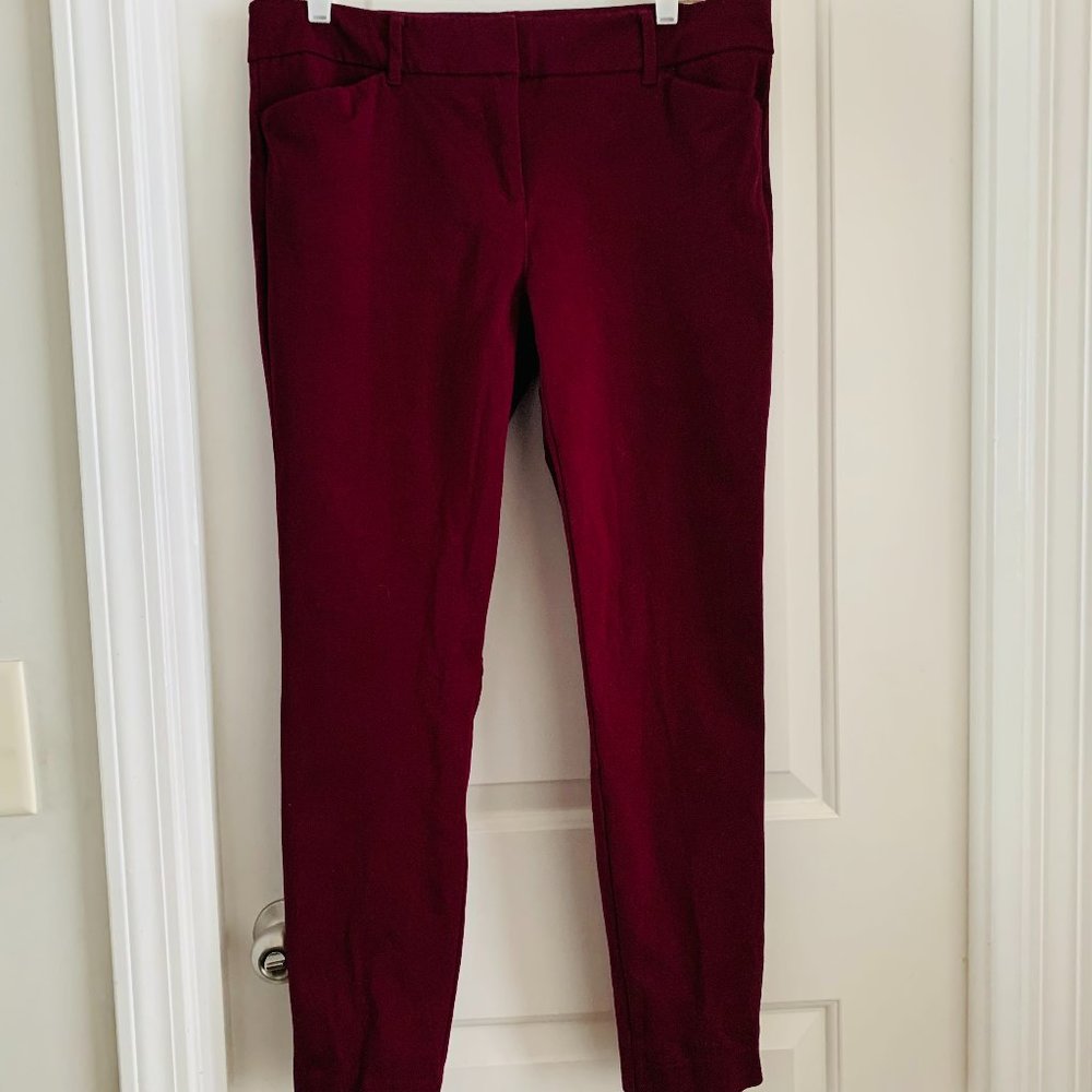 New York & Company Stretch Pants